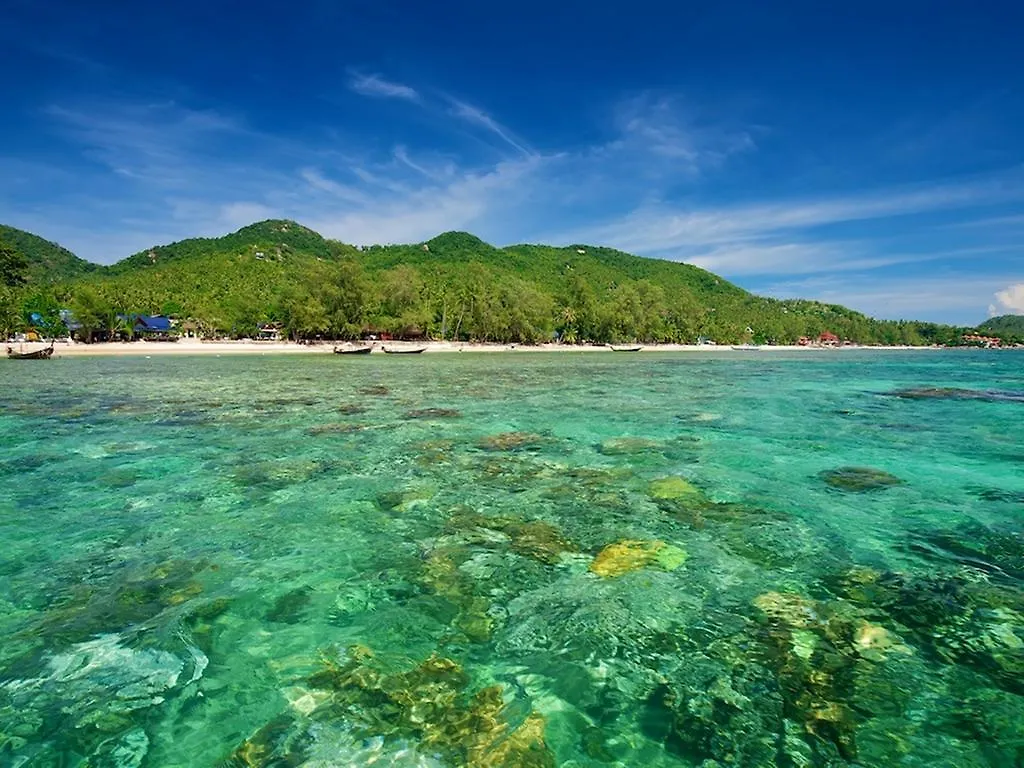 ***  Thalassa Hotel Koh Tao Thailand
